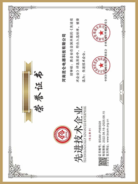 先進技術企業